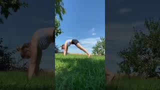 Позвоночная волна #йогакаждыйдень #yoga #yogapractice #йогаупражнения