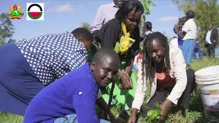 Kenyatta University - Partnerships / Sites of Impact