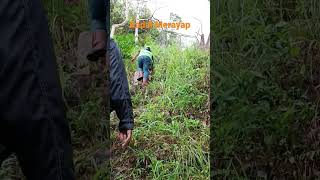 video lucu #shorts