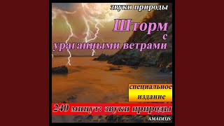 Тропические леса со звуком реки: звуки природы