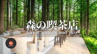 Ambient sounds + JAZZ Gentle forest coffee shop Relaxing work/study CAFE MUSIC - BGM for work