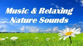 Musica Angelica,Suoni del Bosco,Rilassamento ,Meditazione,Vibrazioni Positive,Purificazione