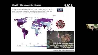 The geography of species associations