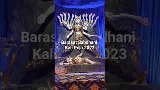 Kali Puja 2023| Barasat Sandhani 2023