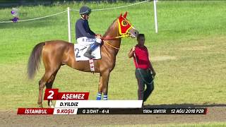 Nedim Ökmen Koşusu - AŞEMEZ - 12/08/2018