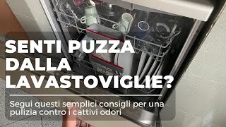 Senti Puzza che viene dalla LAVASTOVIGLIE?