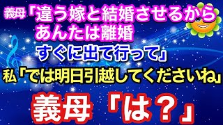 【スカッとする話】「孫が可愛くない！違う嫁と結婚させる」同居の私に離婚届を突きつける義母→いう通りにする代わりにある事実を伝えた結果…【スカッとハレバレ】