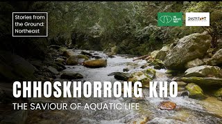 Chhoskhorrong Kho: The Saviour of Aquatic Life | Stories from the Ground: Northeast India