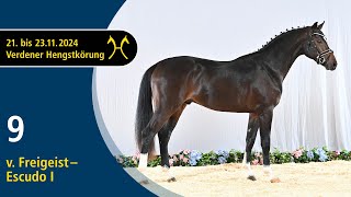 No. 9 Stallion by Freigeist - Escudo I | Verden Stallion Licensing 2024 - Dressage - Nov. 22/23