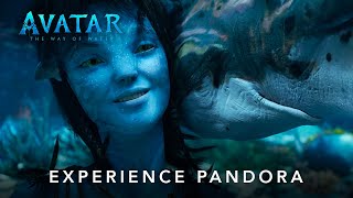 Avatar: The Way Of Water | Experience Pandora | Hindi Promo | Tickets on Sale | Dec 16 in Cinemas