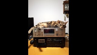 Sansui D-300M cassette deck (with R-99Z Receiver)