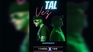 Yandel y Feid - Tal Vez