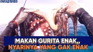 MAKAN GURITA ENAK, NYARINYA YANG GAK ENAK