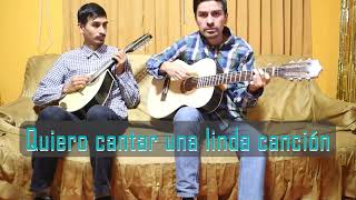 Quiero cantar una linda canción | Dúo mandolina y guitarra #mandolin #guitar #cover