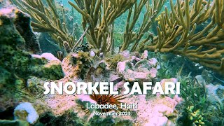 Labadee Snorkel Safari