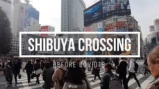 Shibuya Crossing | World Busiest Scramble Cross