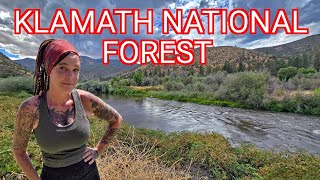 Scenic Route Of Klamath National Forest | Female Nomad Life