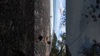 Joran Pasukan Karang Alugoro pe 4 DISIKSA | 🫣🫣 MANCING CASTING PINGGIRAN Spot pulau AMBON