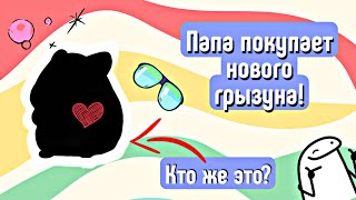 ПОКУПКА НОВЫХ ГРЫЗУНОВ🤭//кто это?🤔// яХрумка