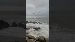 Big Waves for August at Westward Ho! #waves #northdevon