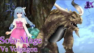 [Toram Online] - Solo Mage Vs Volgagon