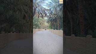 Al Ain Oasis, Part- 2|| Dates Palm Cultivation||Best place to visit in UAE #alainoasis #uae #shorts