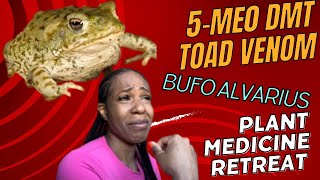 5-MEO DMT Toad Venom Bufo Alvarius Plant Medicine Retreat