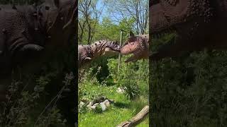 The Dinosaurs Fight #dinosaur #dinoland #dinosaurios #dinosaurs #dinosaurus #shorts #short