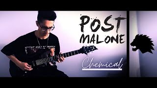 Post Malone - Chemical | Eray Aslan (Guitar Cover)