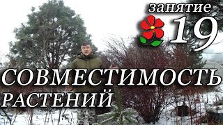 Курсы. Занятие 19. Совместимость растений. Принцип 1.