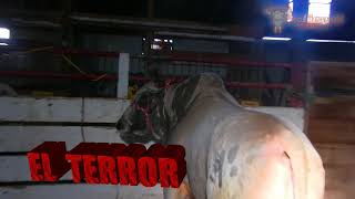 El🐂 TERROR😈DE RANCHO LOS EXCLUSIVOS