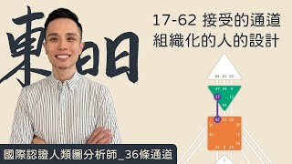 人類圖｜36條通道｜一支影片搞懂17-62接受的通道/組織化的人的設計！#人類圖 #36條通道 #接受的通道 #組織化的人的設計