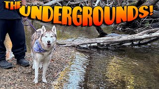 Are the Ocqueoc Undergrounds Dog Friendly? Hatchi the Husky Finds Out!