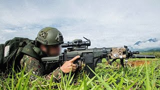 Forças Armadas brasileiras/Status Militar.