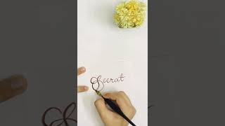 English calligraphy name Seerat with speedball pen #viral #englishcalligraphy #art #islam