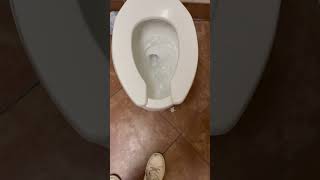 #497: extremely powerful kohler highcrest toilet at chuck e’s