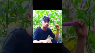 # আমি জানতাম না তো এতো সাজ কেনো#Comedy video # #bangla_dance_video_2024multimedia #comedyvideo#