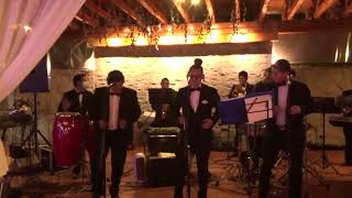 JHONNYS BAND AZOGUES - JARDIN DEL BOSQUE