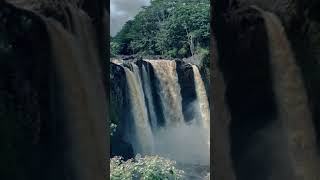 Rainbow falls #hawaii #waterfall r