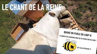 Le chant de la reine