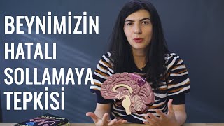 Beynimizin trafikte kısa devre yapması