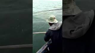 MOMEN YANG MENEGANG KAN SAAT STRIKE IKAN KAKAP #shortvideo