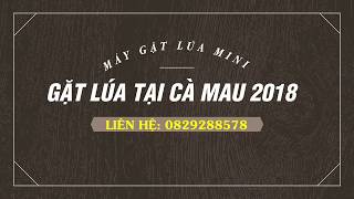 Máy gặt mini về Cà Mau, một máy bao nhiêu tiền? | may gat dap lien hop mini - 0829288578