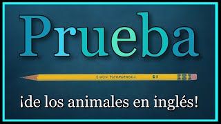 ¡Pon a PRUEBA tu CONOCIMIENTO de LOS ANIMALES en INGLÉS!