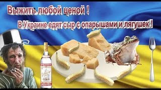 Украинская кухня. ёжики, лягушеки и сыр из опарышей! Всем приятного аппетита!