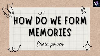 How Do We Form Memories? | Brain power!