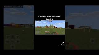 Placing 1 Block Everyday In Minecraft Day #89