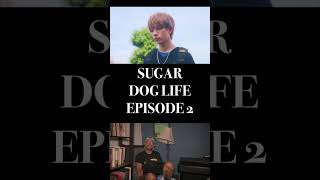 SUGAR DOG LIFE EPISODE 2 REACTION