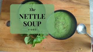 Nettle Soup Recipe: I Promise it Won't Sting