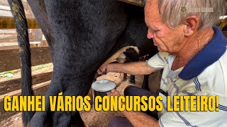 COLECIONO TROFÉUS DE CONCURSOS LEITEIRO, MINHAS VACAS DAVAM 60 LITROS DE LEITE.